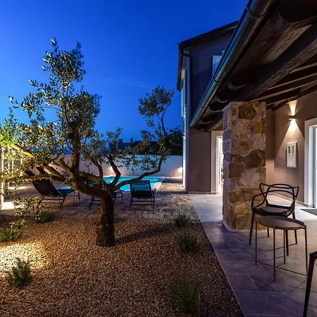 Tatil Evi Luxurious Home In Benkovac Benkovac